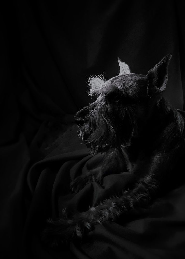 Photograph by Елена Фетисова