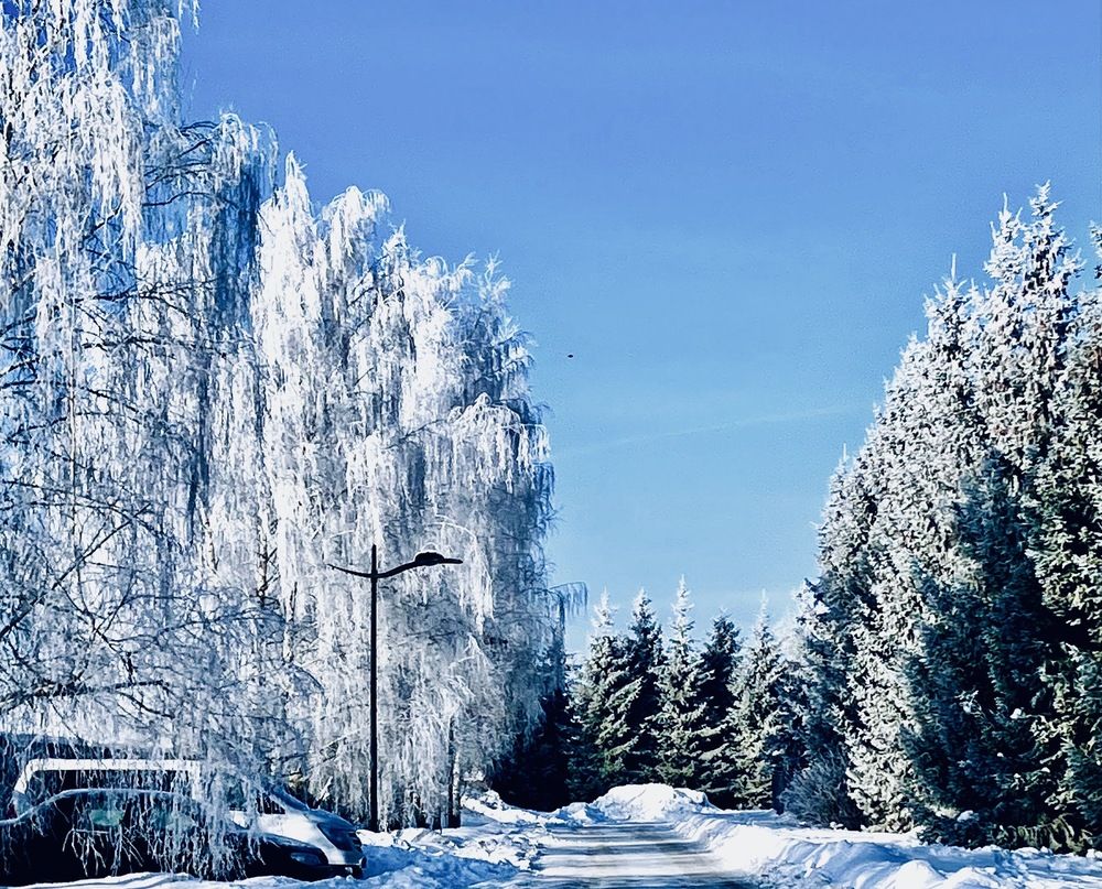 Photograph by Татьяна Мустафина