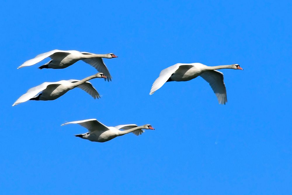 Photograph by Николай Абакумов