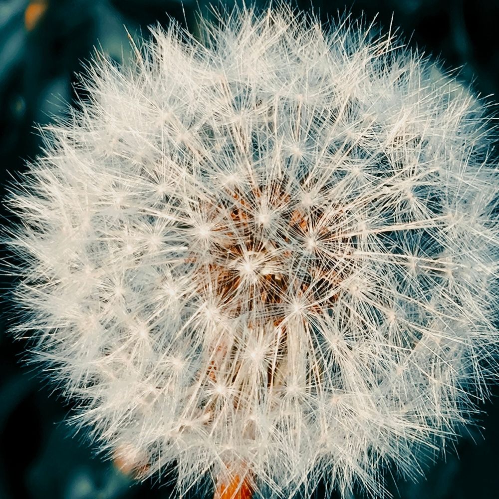 Photograph by Наталья Медовова
