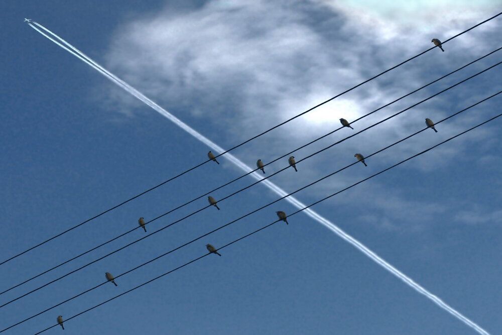 Контрапункт