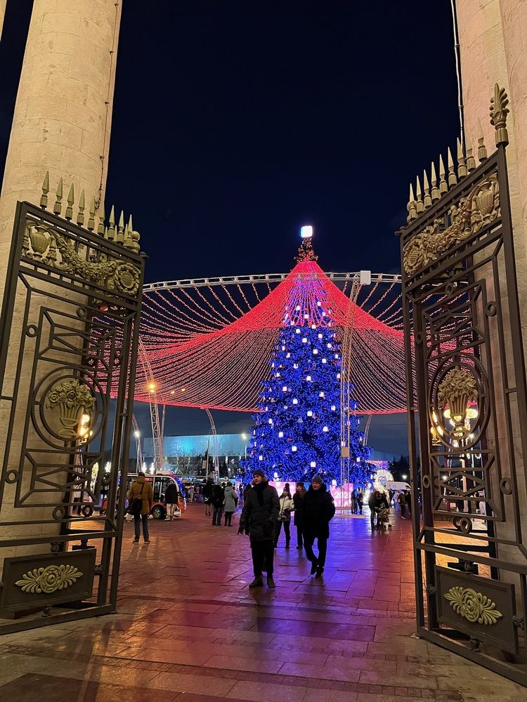Фотография автора Виктория Ляпина