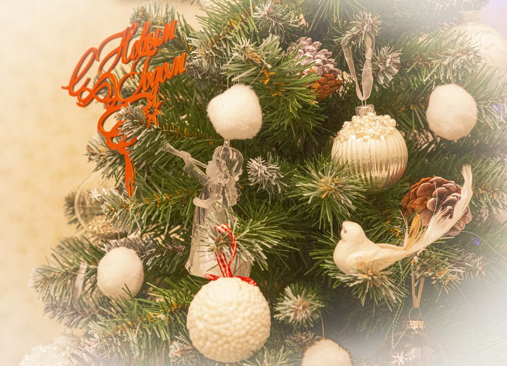 Фотография автора Каргин Валерий