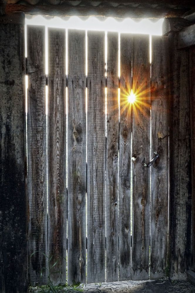 Photograph by Мишустина Татьяна