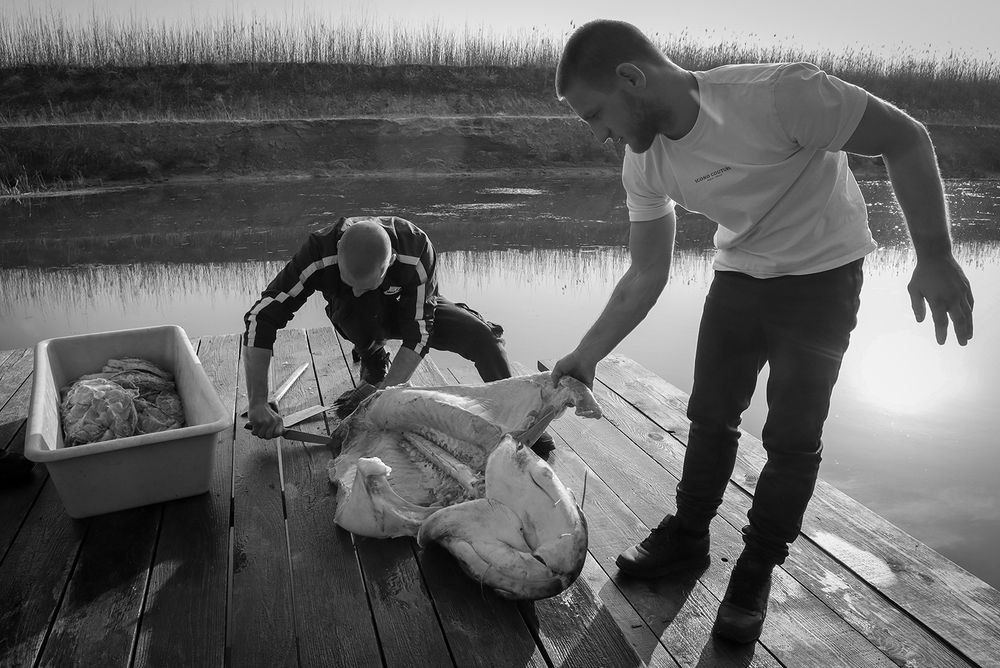 Ritual of the River