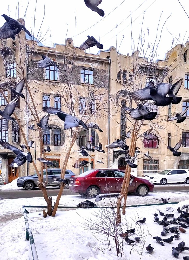 Photograph by Алёна С-К