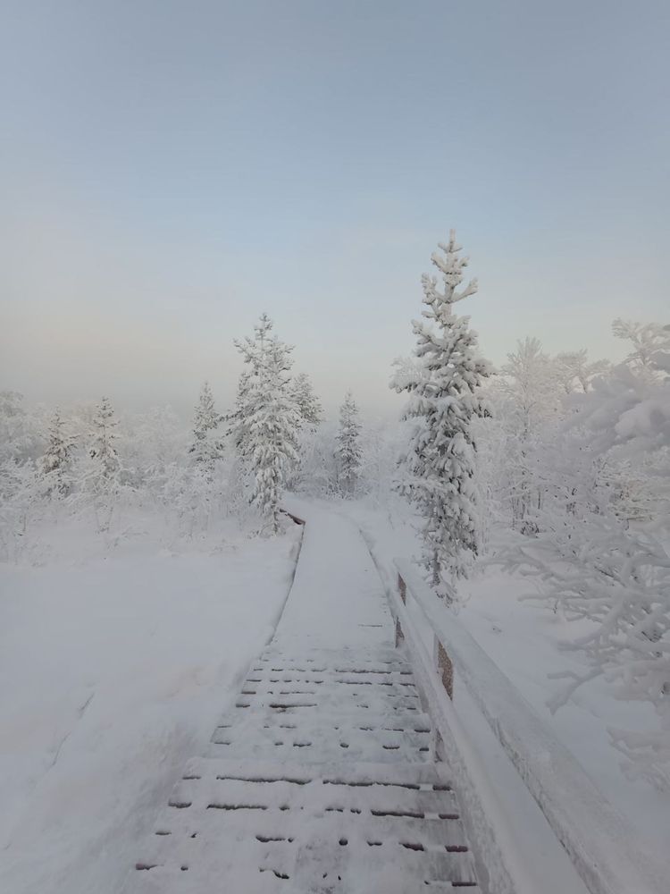 Зимняя сказка...