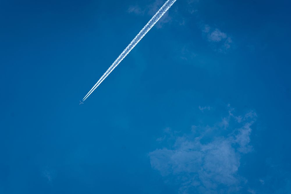 Photograph by Romina Moniri