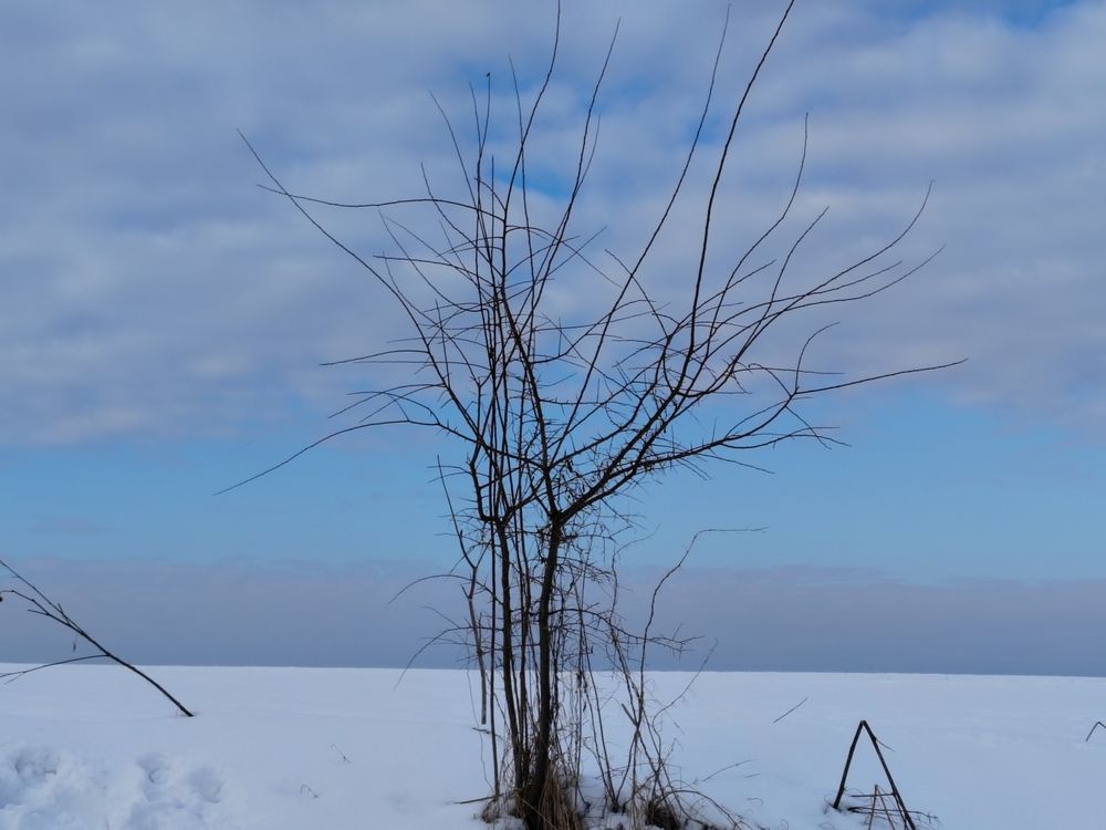 Photograph by Ольга Рыбина