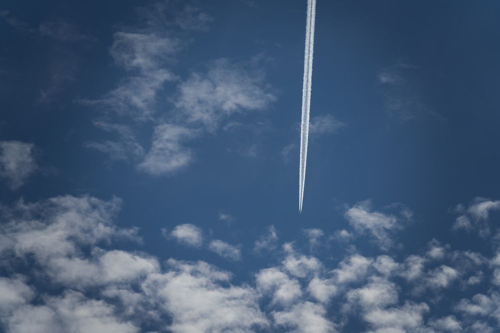 Photograph by Romina Moniri