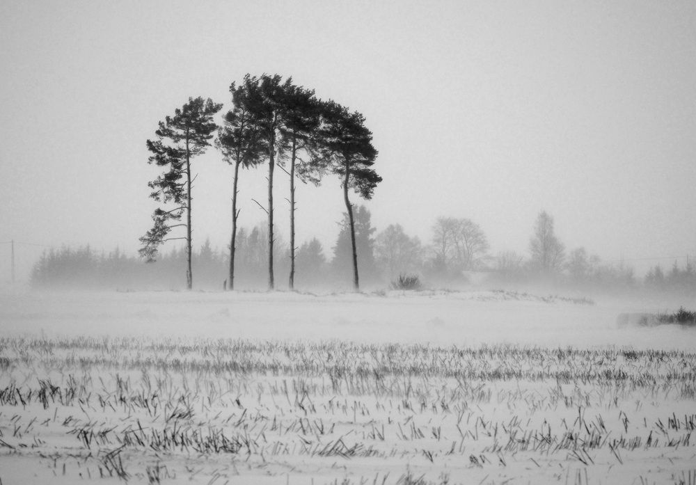 Photograph by Алексей Поляков