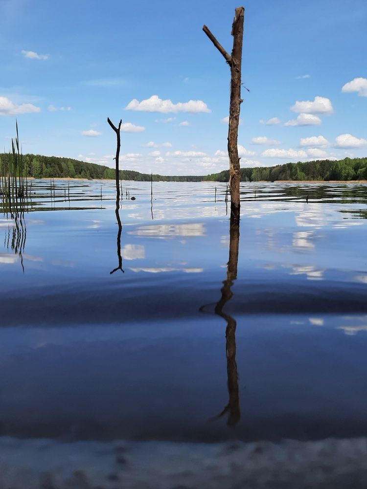 Фотография автора Анна Хмелькова
