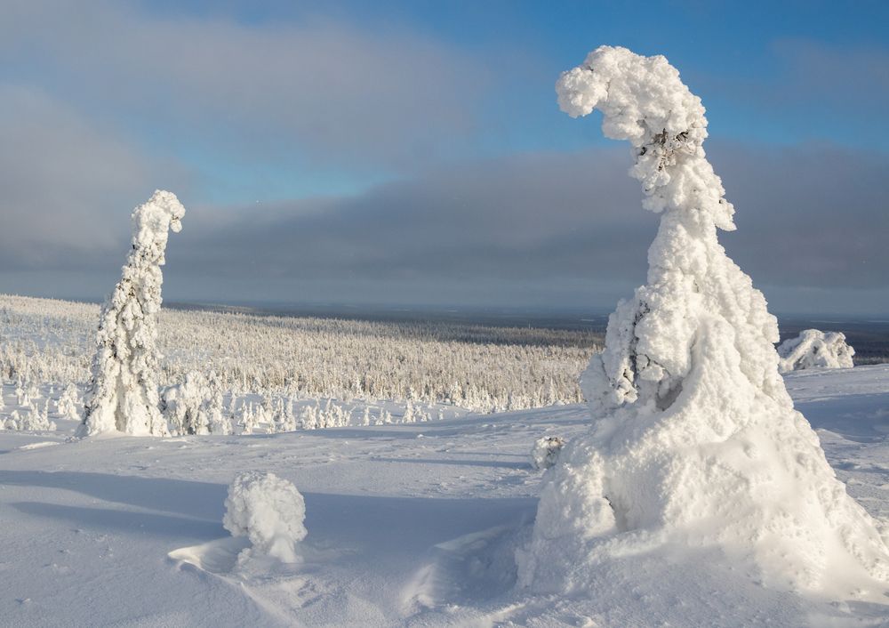 Photograph by Вадим Городницкий