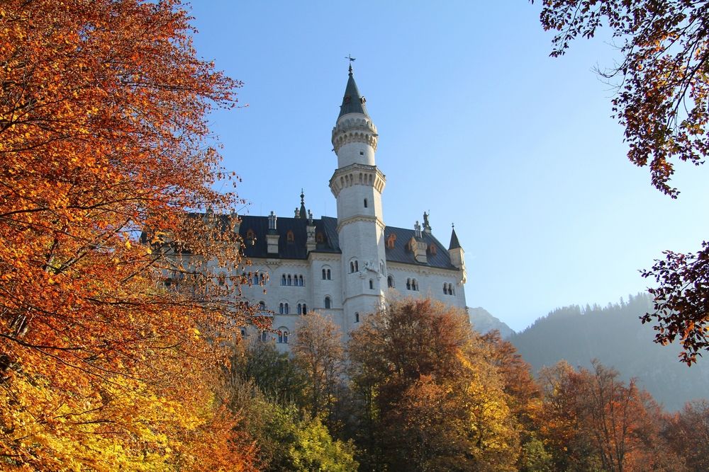 Photograph by Владимир Кулешов