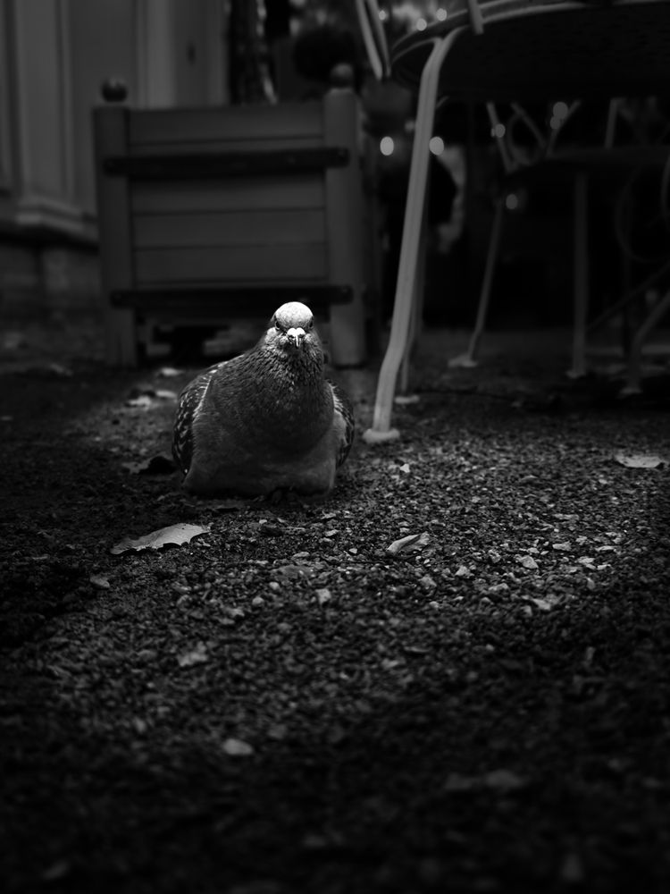 Photograph by Былков Евгений