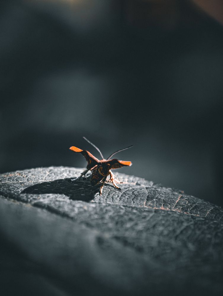 Photograph by Былков Евгений