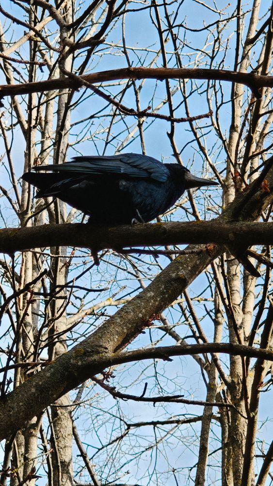 Photograph by Елена Анденко