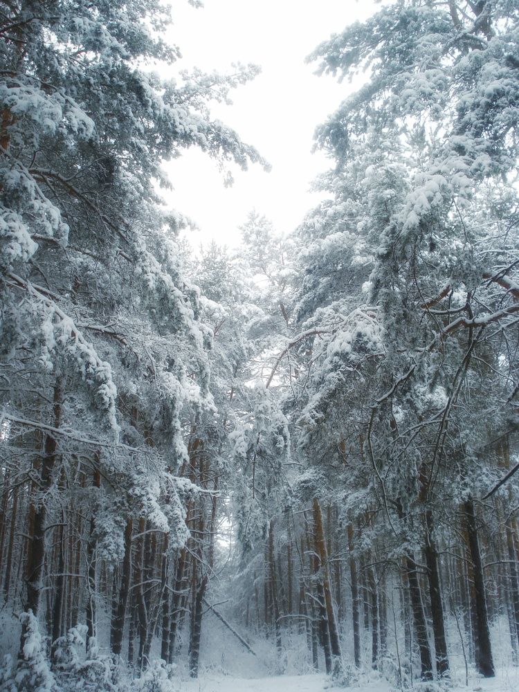 Photograph by Эмма Астапова