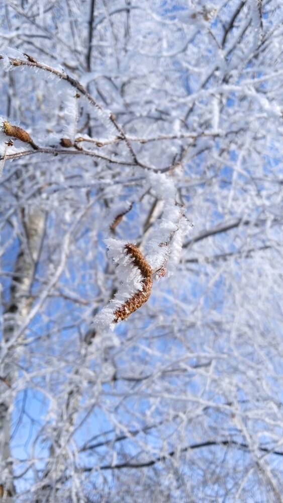 Photograph by Нина Словина