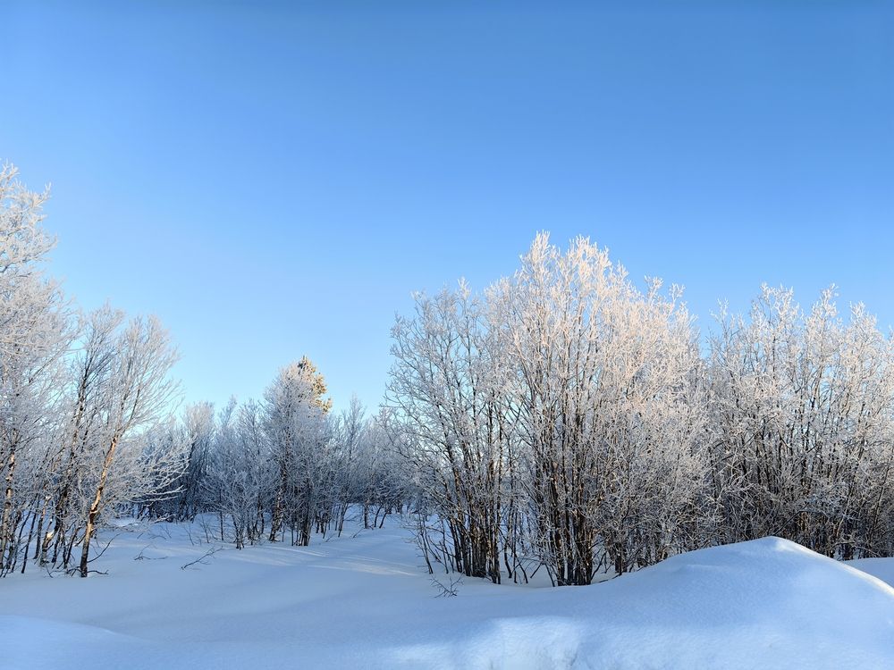 Фотография автора Sparc-jr