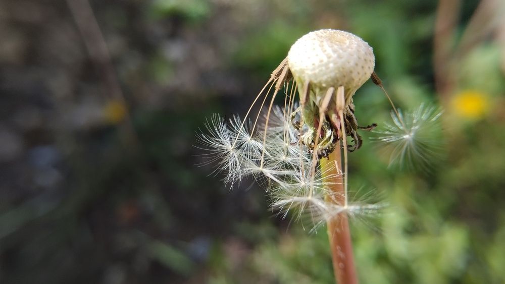 Photograph by Сергей Юрьевич