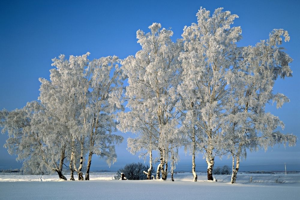 Photograph by Татьяна Федорова