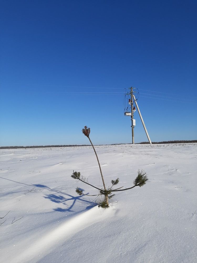 Фотография автора Анна Хмелькова