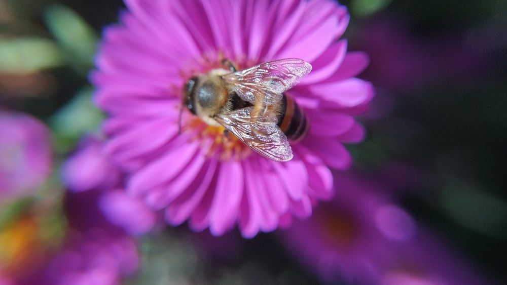 Photograph by Сергей Юрьевич