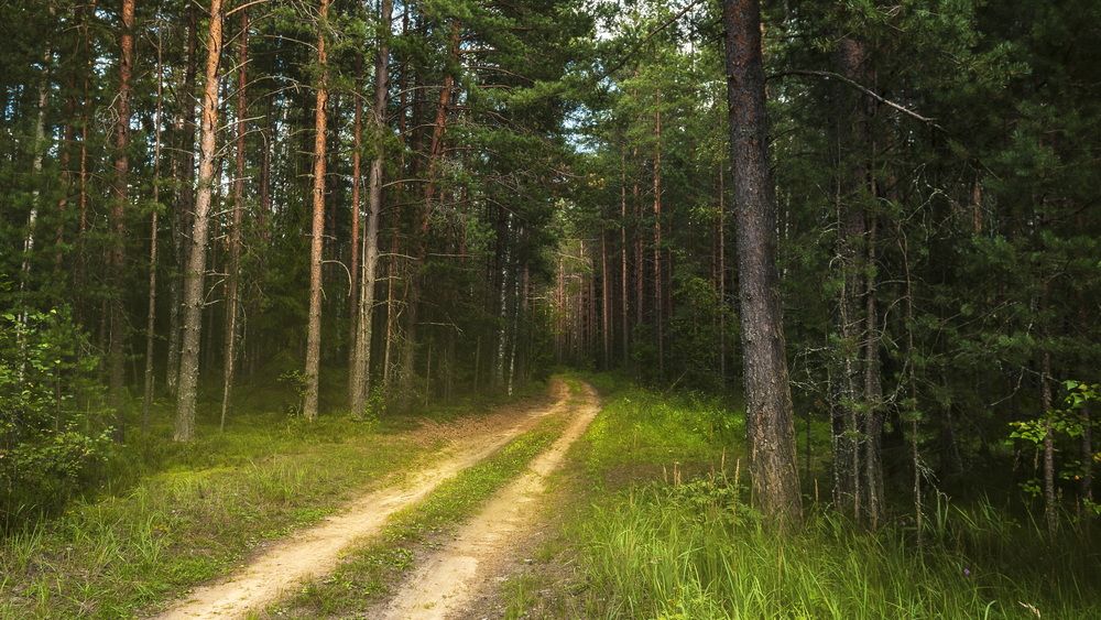 Photograph by Андреев Роман