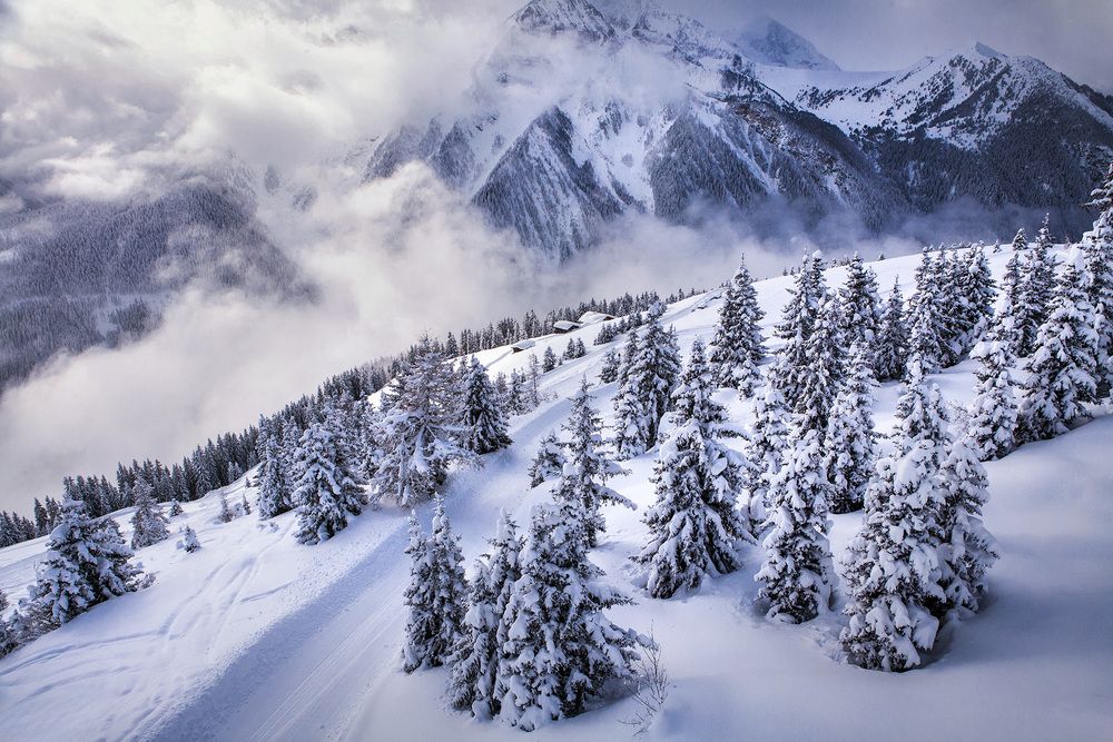 Photograph by Vladimir Ostapenko