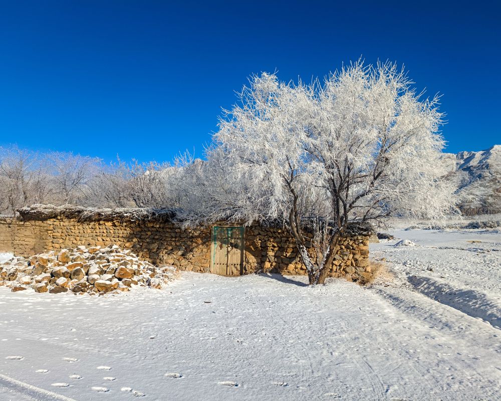 Photograph by Hamid espanani