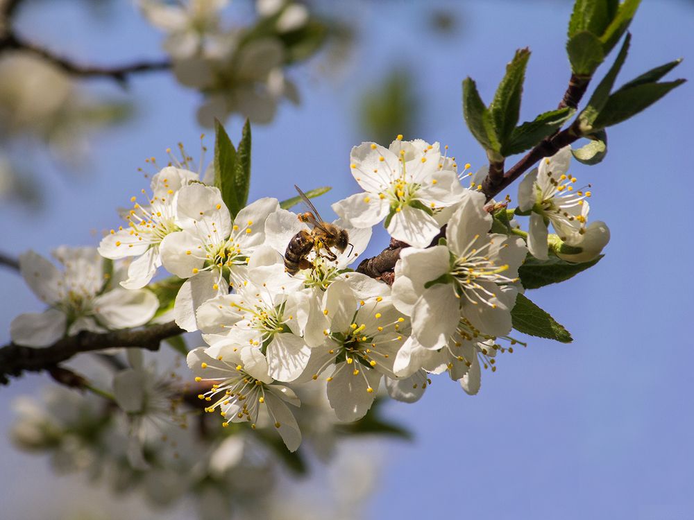 Фотография автора Борис Журавлёв