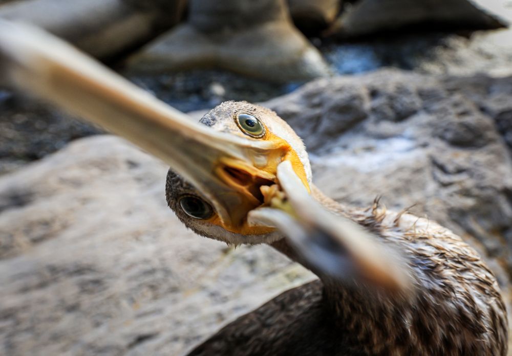 Photograph by Андрей