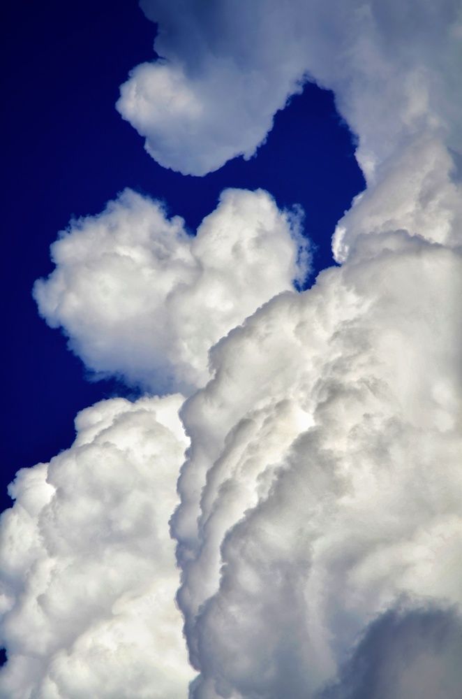 Photograph by Алена Самошина