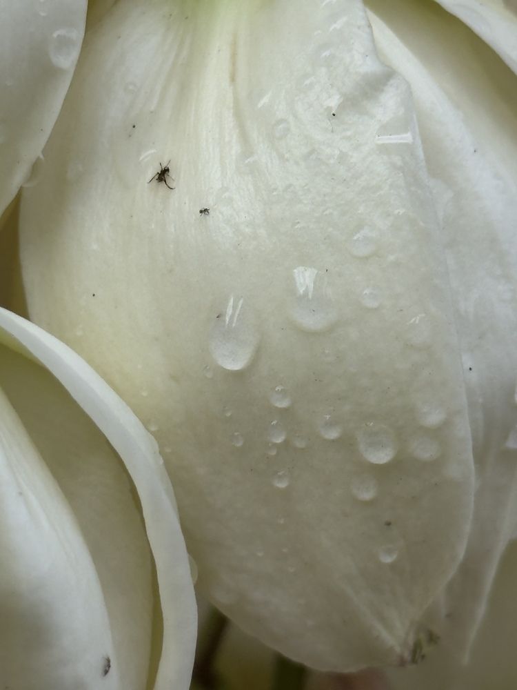 Photograph by Алёна Яцкевич