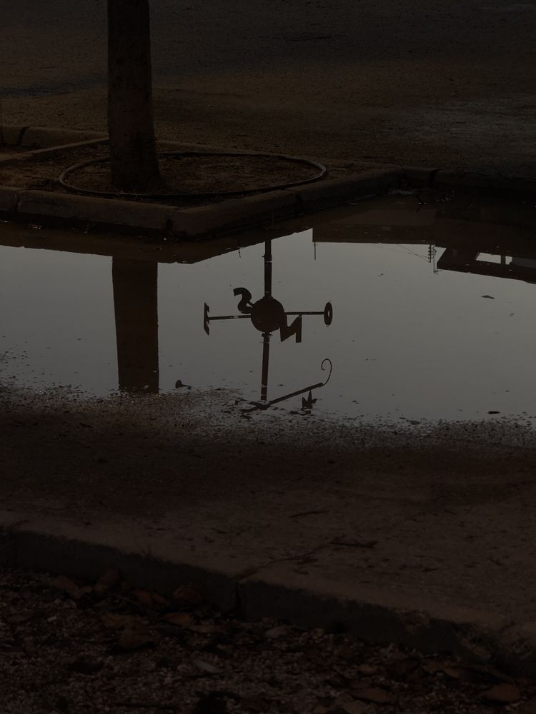 Photograph by Алёна Яцкевич