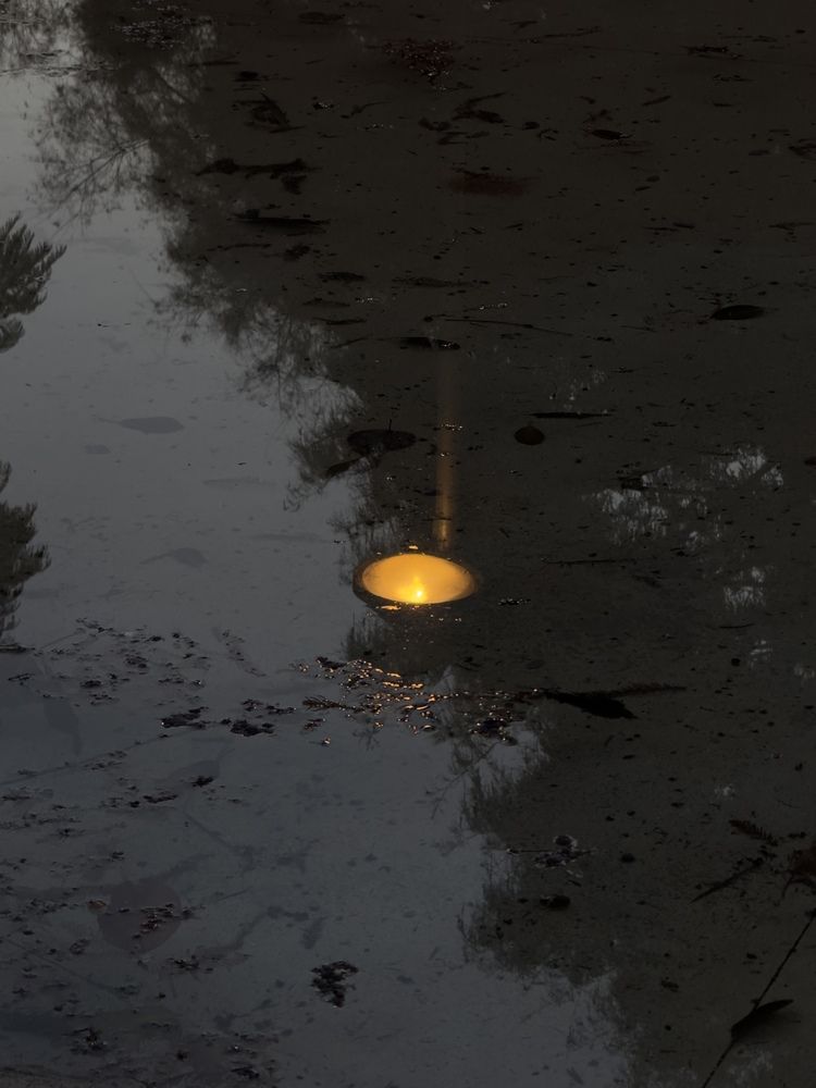 Photograph by Алёна Яцкевич