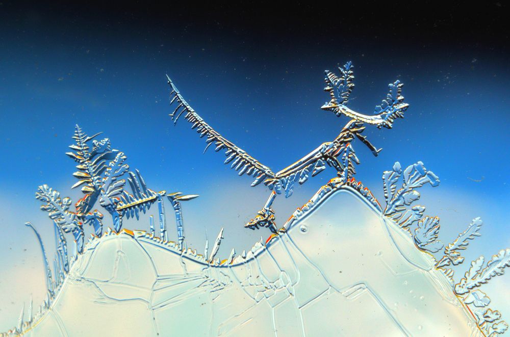 Фотография автора Владислав Алмазкин