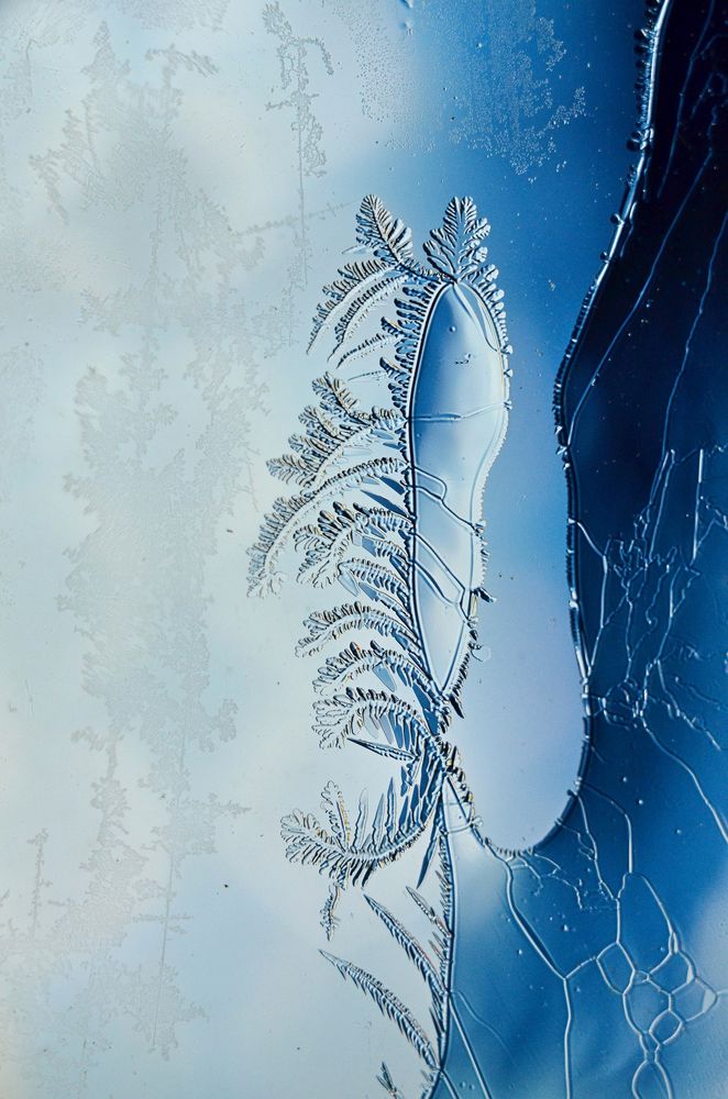 Фотография автора Владислав Алмазкин