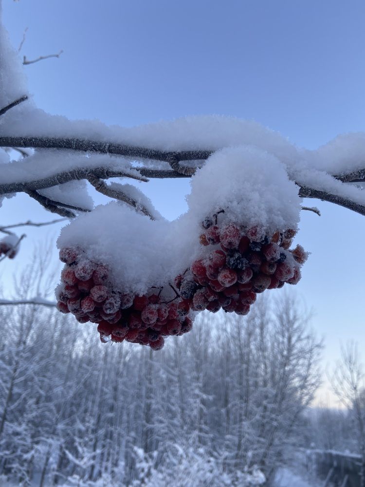 Photograph by Наталья Онофренчук