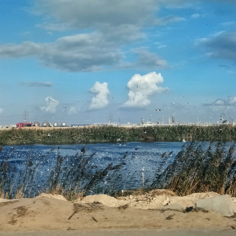 Фотография автора Sara Attia