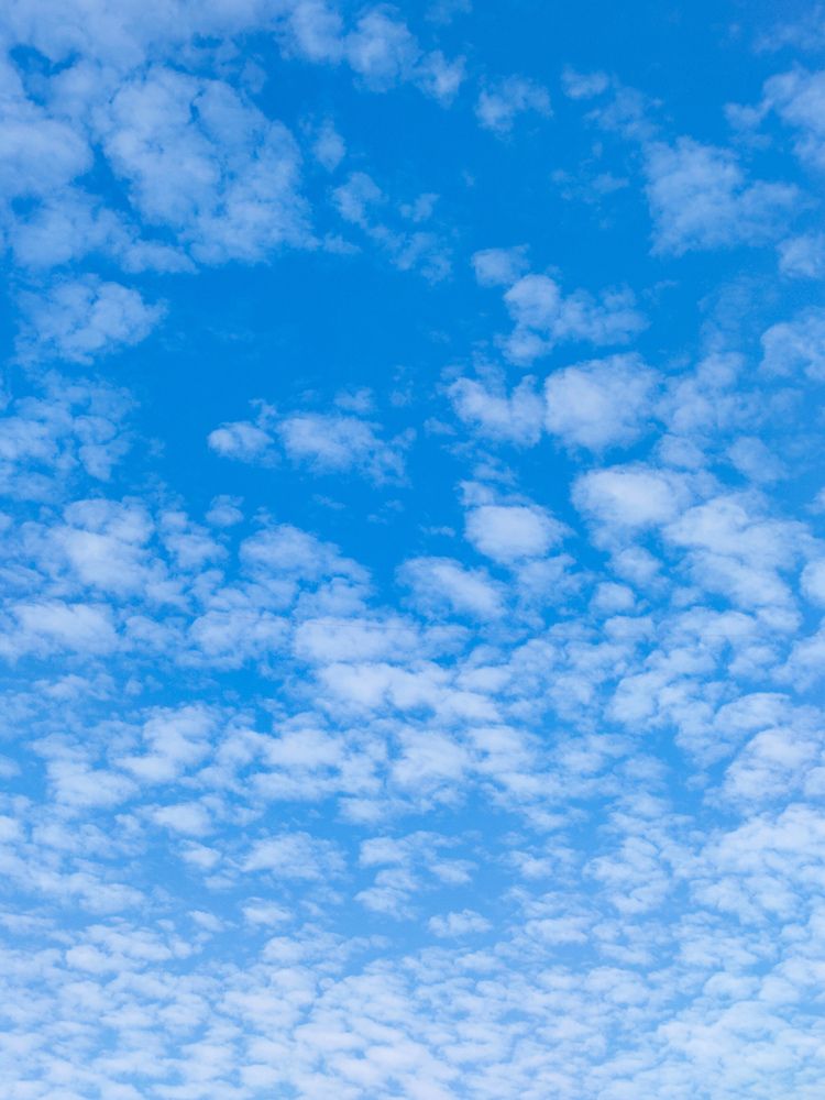 Фотография автора Sara Attia