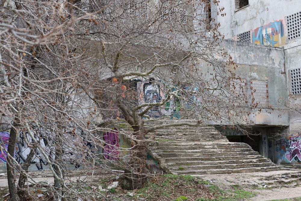 Фотография автора Ольга Лянная