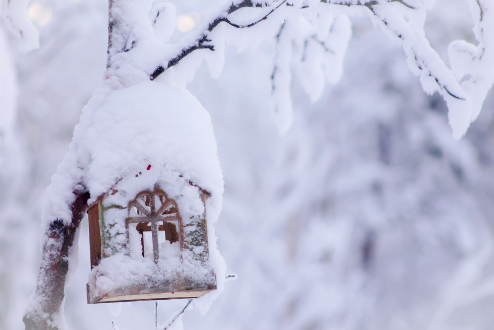 Там где живет сказка...