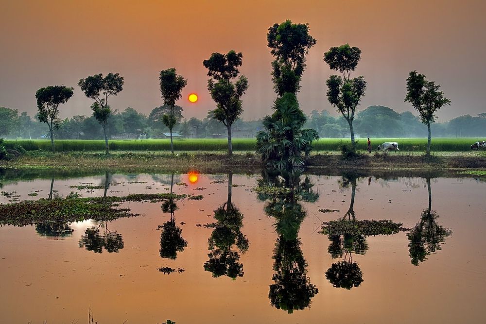 Photograph by BIPLAB MISRA