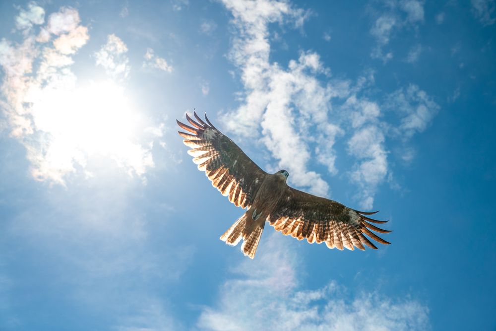 Photograph by kurodon