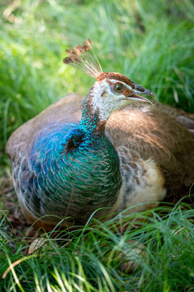 Photograph by kurodon