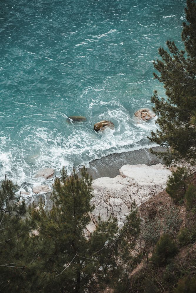 Фотография автора Fallen Angel