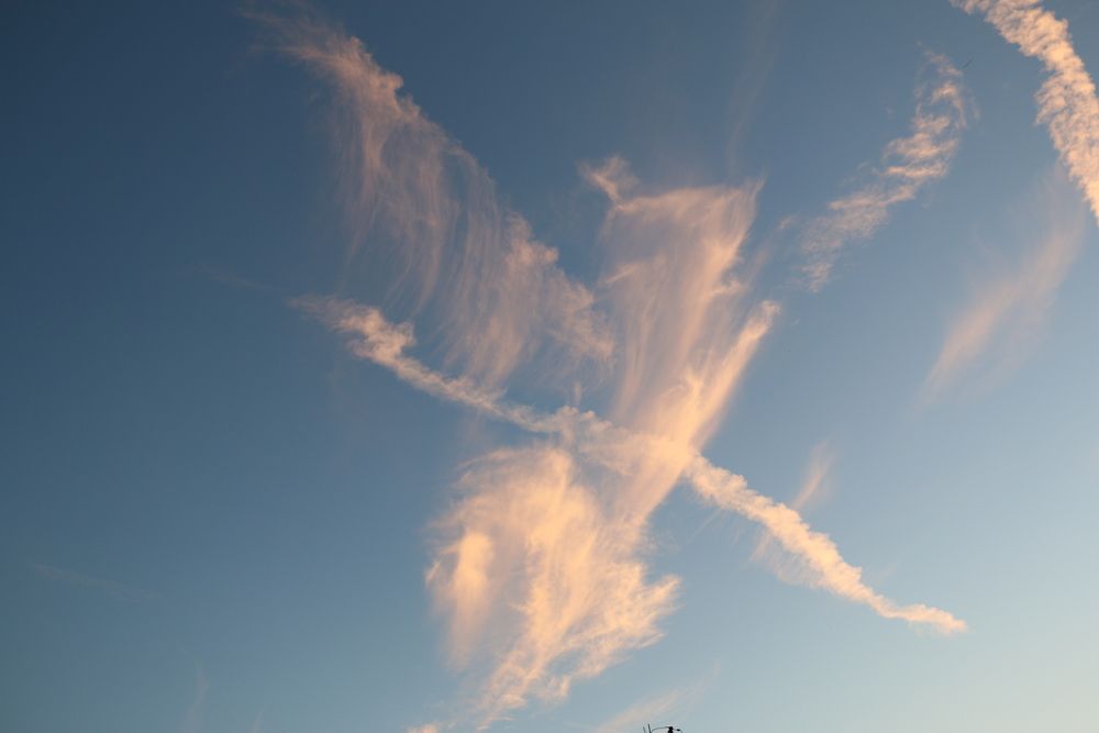 Фотография автора Sparc-jr