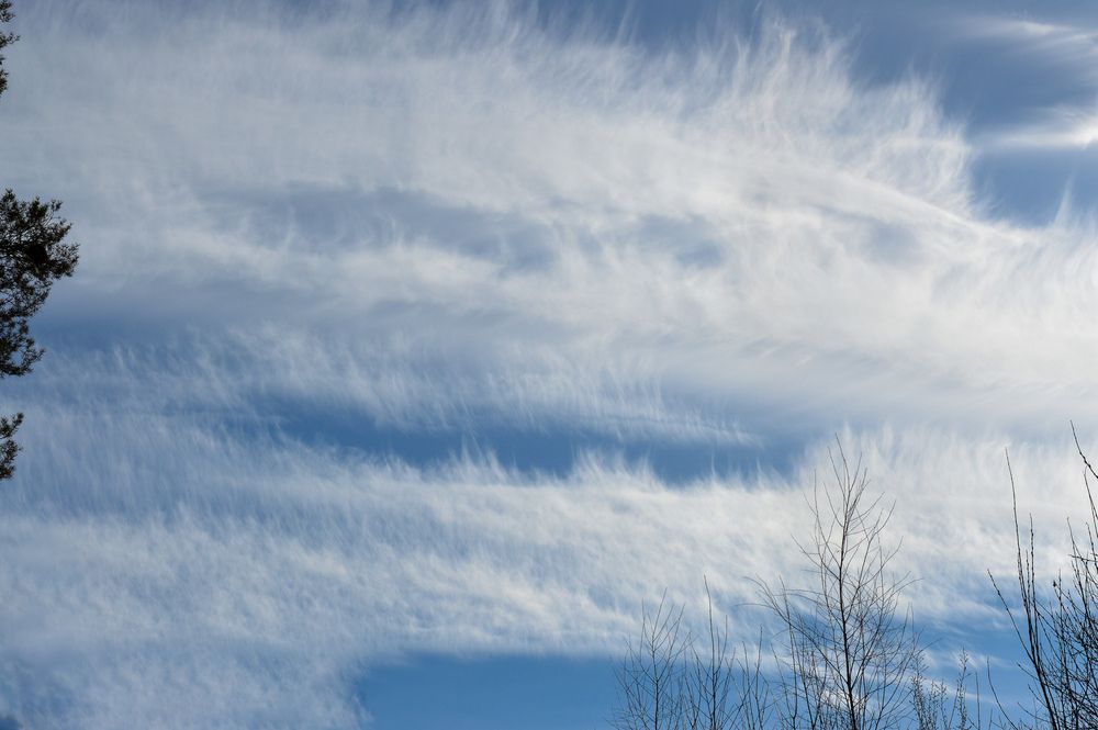 Photograph by Татьяна Жиркина